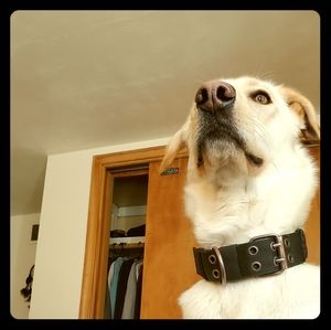 Meet your Posher, Kushal